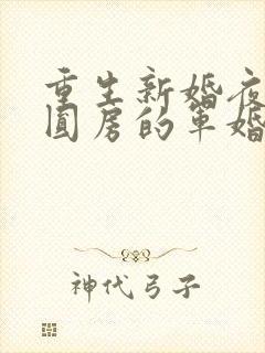 重生新婚夜正在圆房的军婚