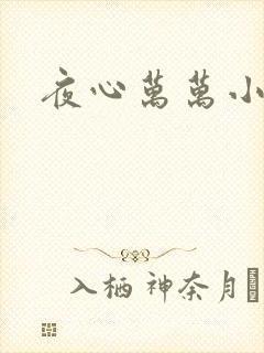 夜心万万小说