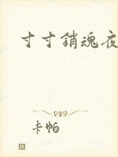 寸寸销魂夜春光