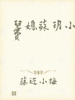 儿媳苏玥小说免费
