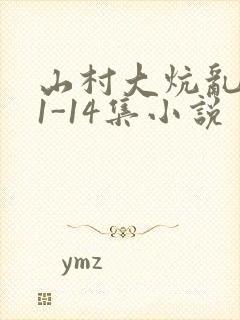山村大炕乱肉续1-14集小说封面