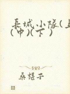 长城小队(上)(中)(下 )