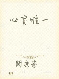 心宝唯一