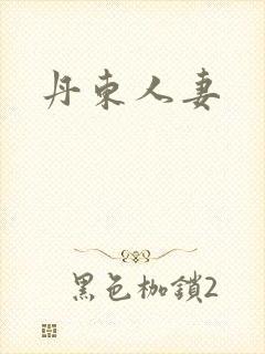 丹东人妻封面