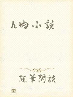 h肉小说