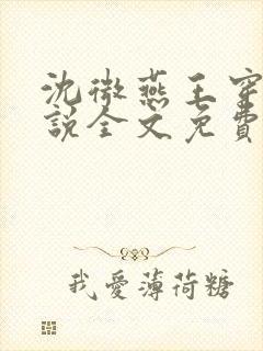 沈微燕王穿越小说全文免费阅读