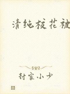 清纯校花被