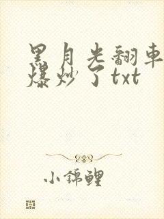 黑月光翻车后被爆炒了txt