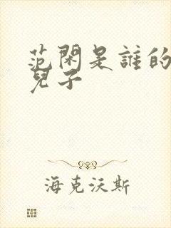 范闲是谁的亲生儿子封面