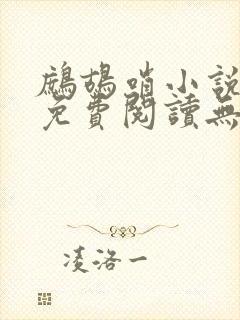 鹧鸪哨小说网站免费阅读无弹窗封面