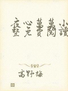夜心万万小说完整免费阅读全文
