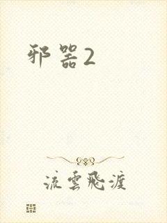 邪器2封面