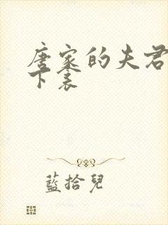唐家的夫君们帘下衾