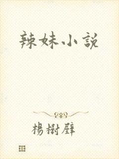 辣妹小说