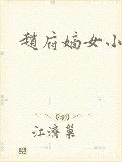 赵府嫡女小说
