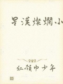 星汉灿烂小说