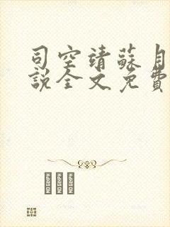 司空靖苏月汐小说全文免费阅读