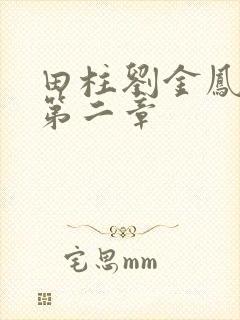 田柱刘金凤小说第二章封面