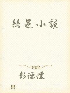 丝足小说封面