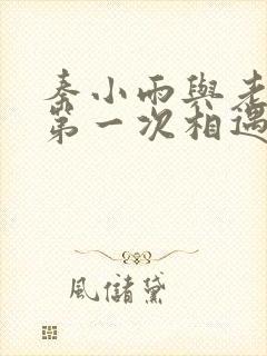 秦小雨与老旺的第一次相遇封面