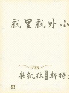 戏里戏外小说