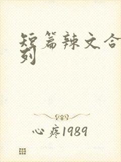 短篇辣文合集系列