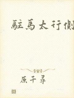 驻马太行侧封面