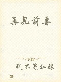 再见前妻