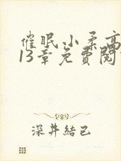 催眠小柔高达第13章免费阅读
