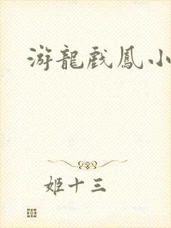 游龙戏凤小说