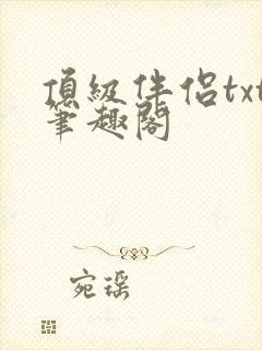 顶级伴侣txt笔趣阁封面