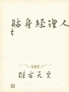 贴身经理人txt