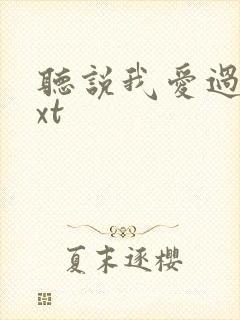 听说我爱过你txt