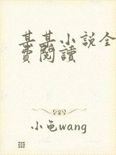 某某小说全文免费阅读封面