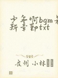少年啊bgm最新章节txt封面