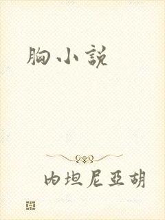胸小说封面