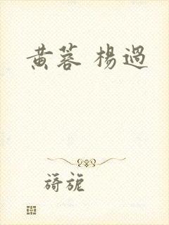 黄蓉 杨过