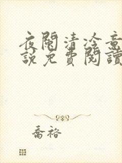夜阑清冷意欢小说免费阅读封面