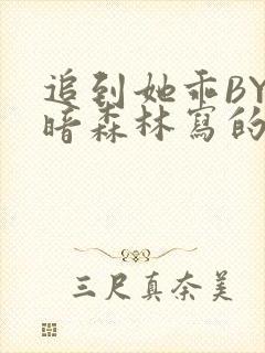 追到她乖BY黑暗森林写的小说