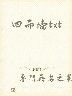 四面墙txt