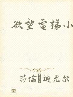 欲望电梯小说