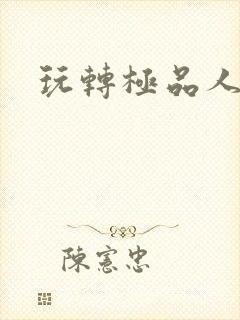 玩转极品人生封面