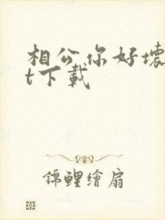 相公你好坏txt下载