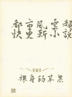 都市风云超前超快更新小说