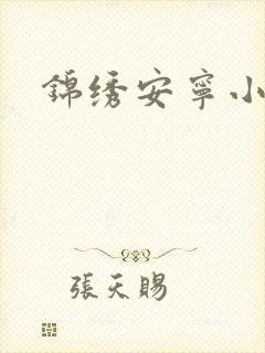 锦绣安宁小说