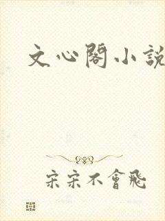 文心阁小说