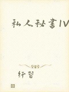 私人秘书1V1