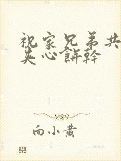 祝家兄弟共享后夹心饼干