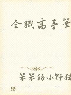 全职高手笔趣阁