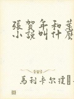 张贺年和叶繁姿小说叫什么名字